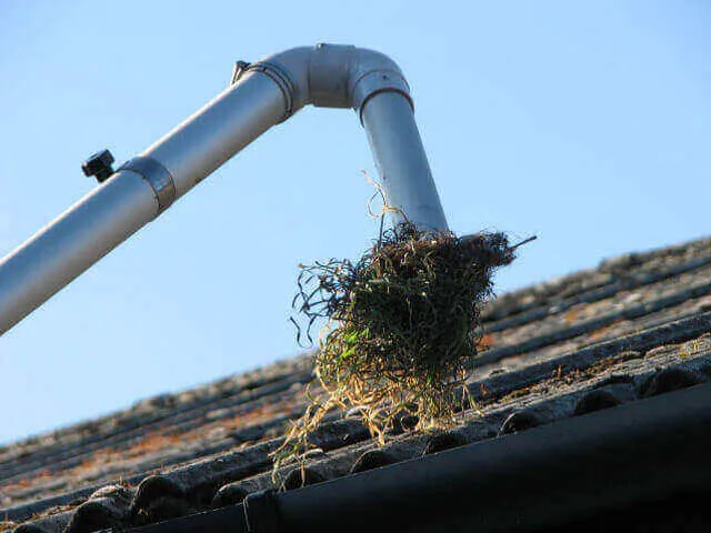Gutter cleaning