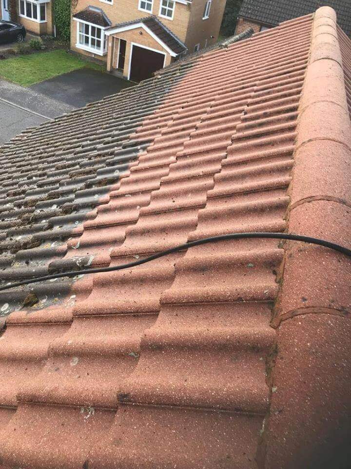 Roof Cleaning