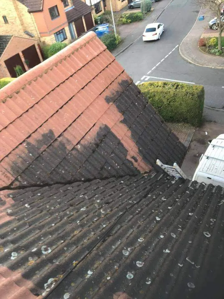 Corrugated Roof Cleaning